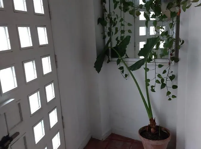 Apartamento Alameda Hércules