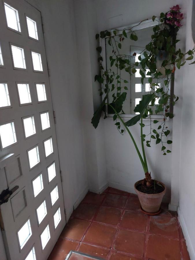 Tipo Loth Alameda Apartamento *